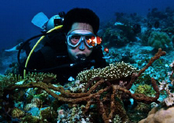 Nemo does not fail to amaze even a seasoned diver like my... by Bernard Maglana 